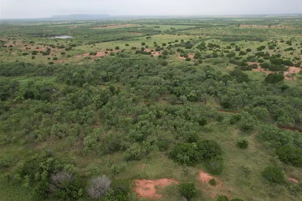 TBD County Road 175, Lawn, TX 79530