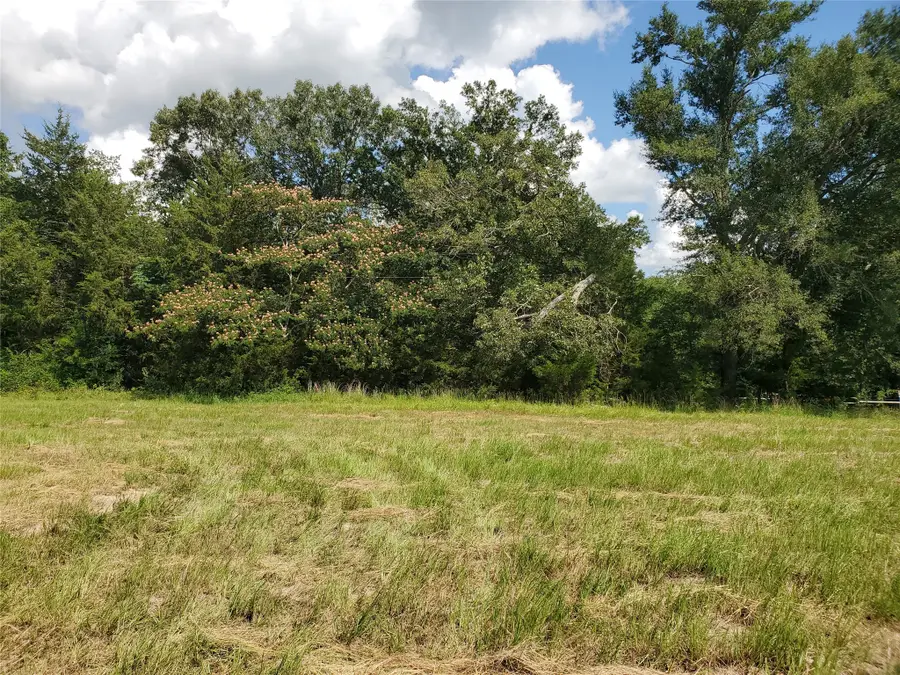LOT 8 Rs County Road 1140, Emory, TX 75440 - Image #2