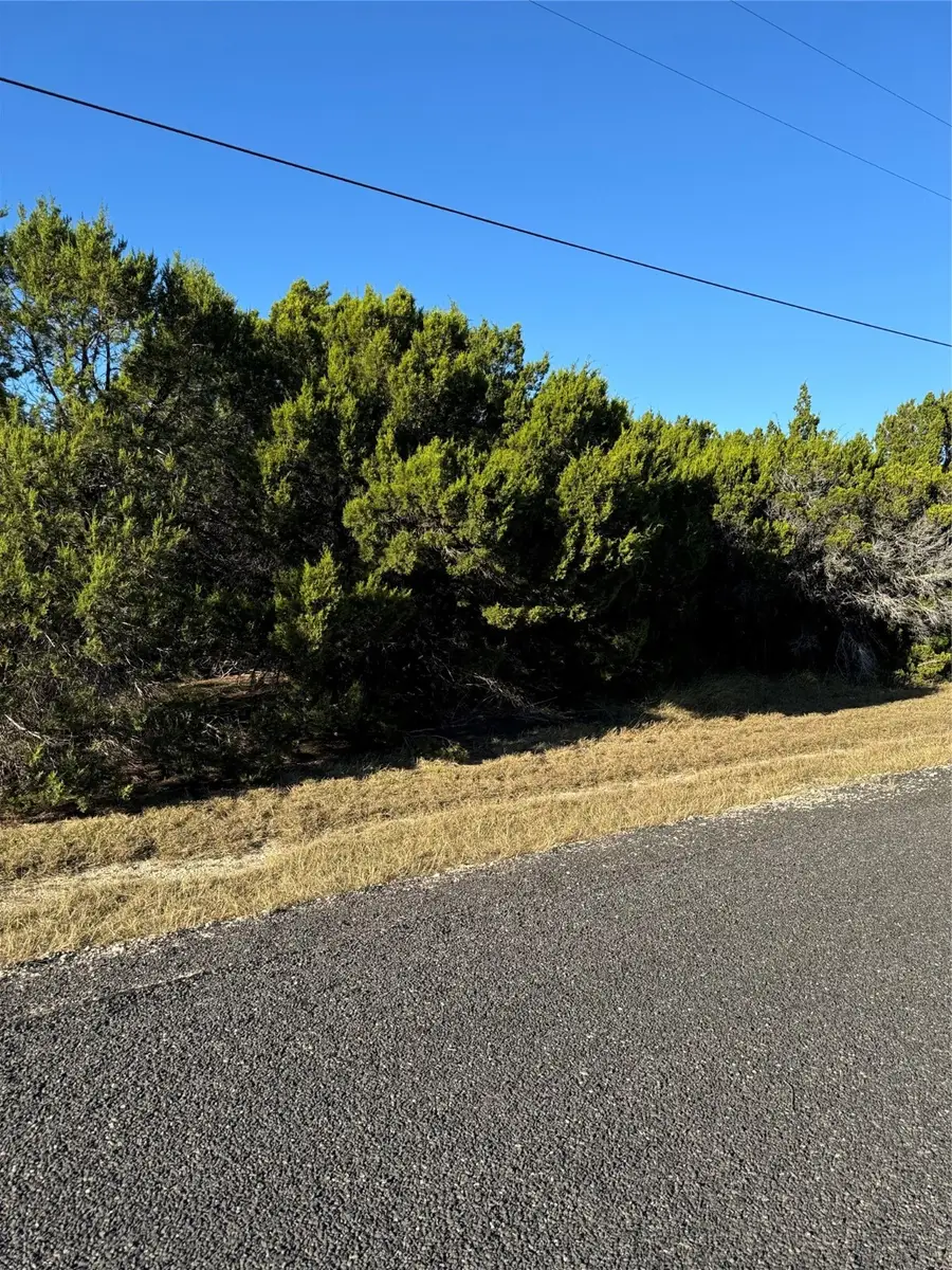 43002 Whisperwood Drive, Whitney, TX 76692 - #3