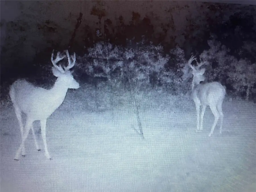 975 N. Lakeview Dr, Palo Pinto, TX 76484 - Image #3