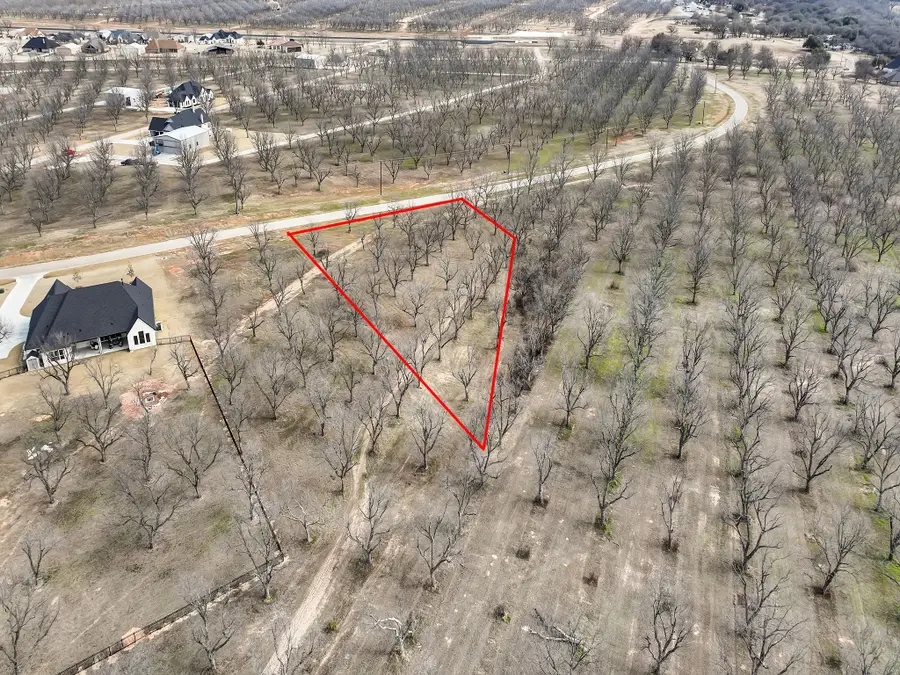 8419 W Landings Road, Granbury, TX 76049 - Image #2