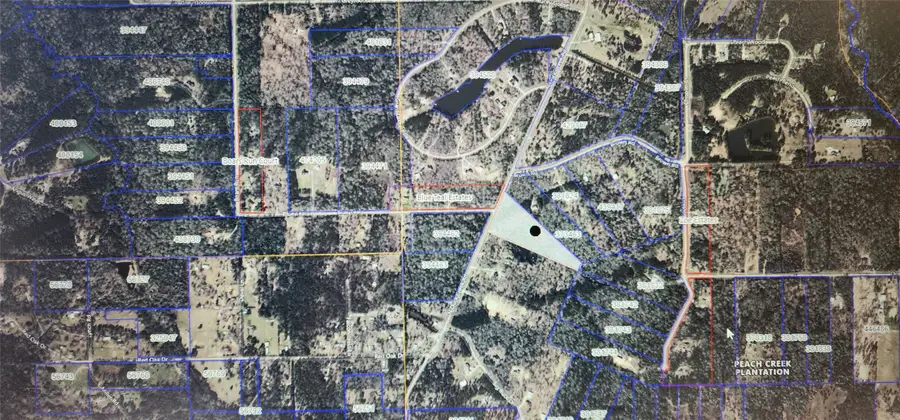 3890 N Duck Creek Road, Southeast Montgomery, TX 77328 - Image #2