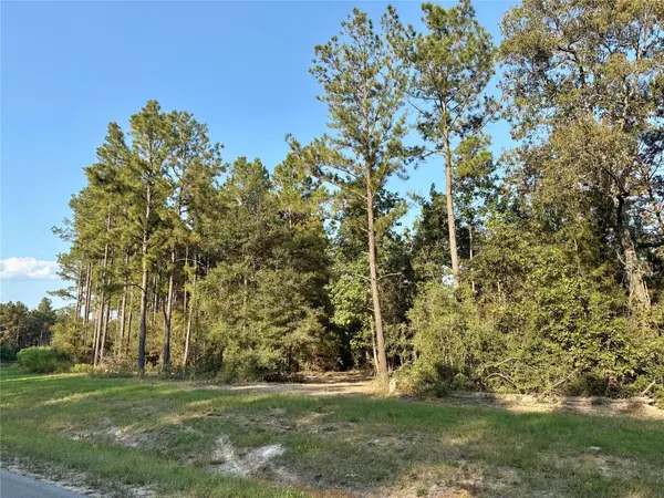 15396 Forest Grove Drive, Willis, TX 77378