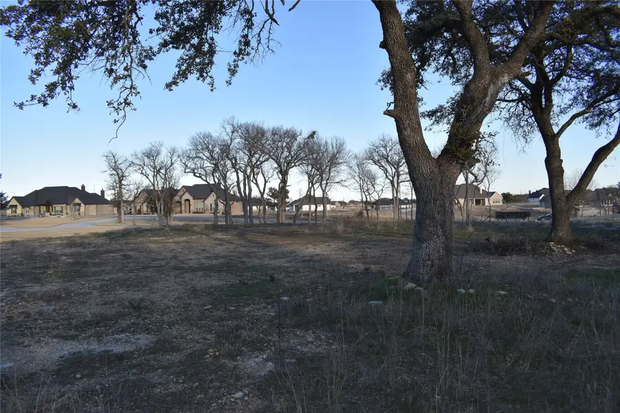 250 Coalson Crossing, Azle, TX 76020 - Image #3