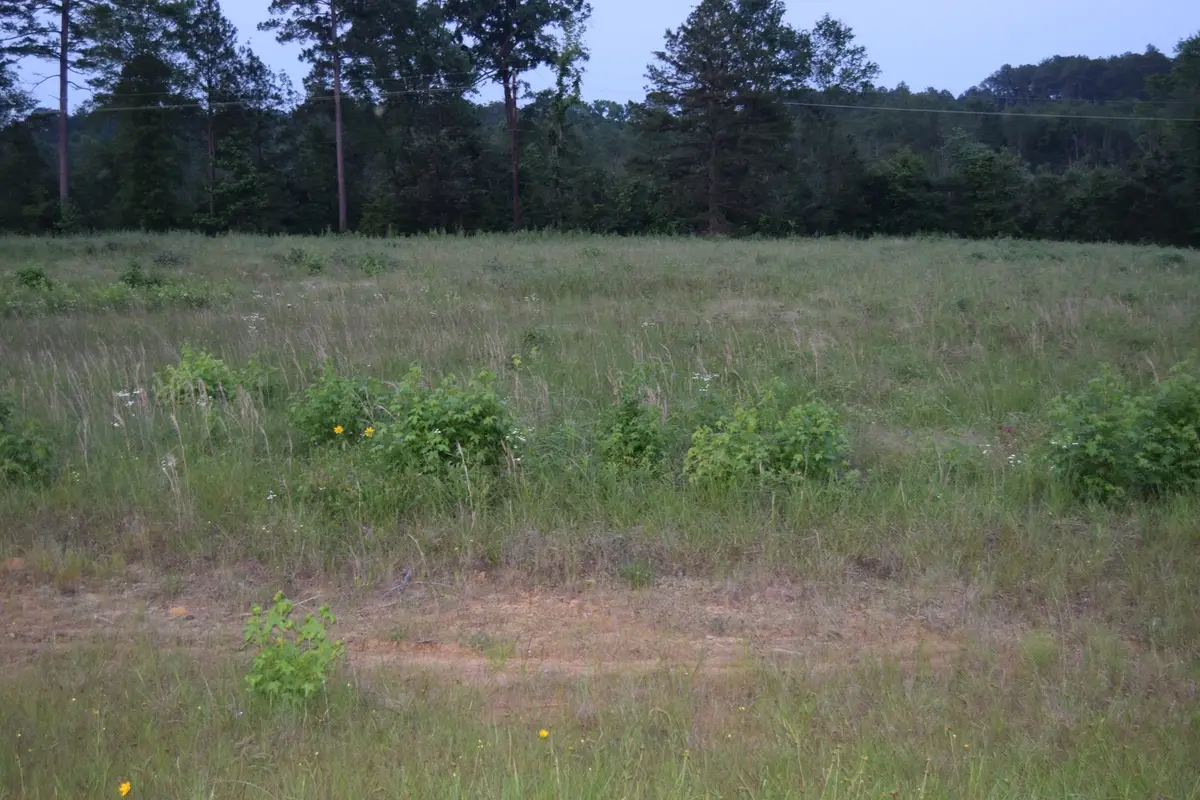6 B Ryans Way, Minden, LA 71055 - #1
