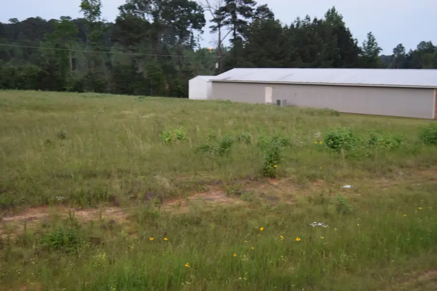 6 B Ryans Way, Minden, LA 71055 - #3