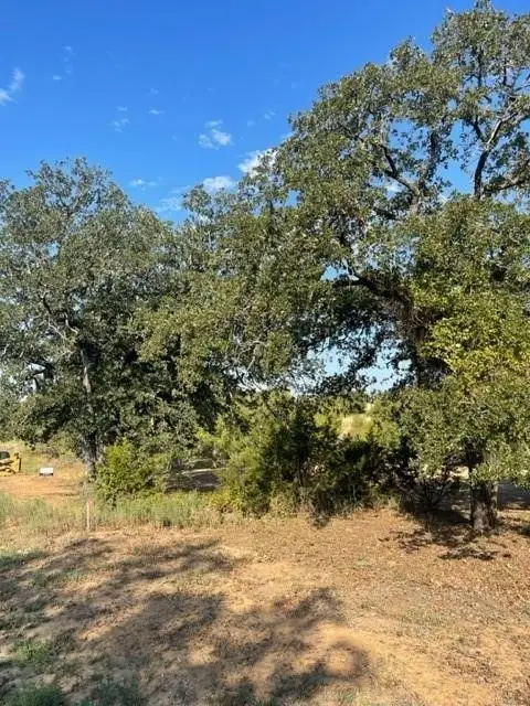 1043 Twin Creeks Drive, Weatherford, TX 76088 - Image #3