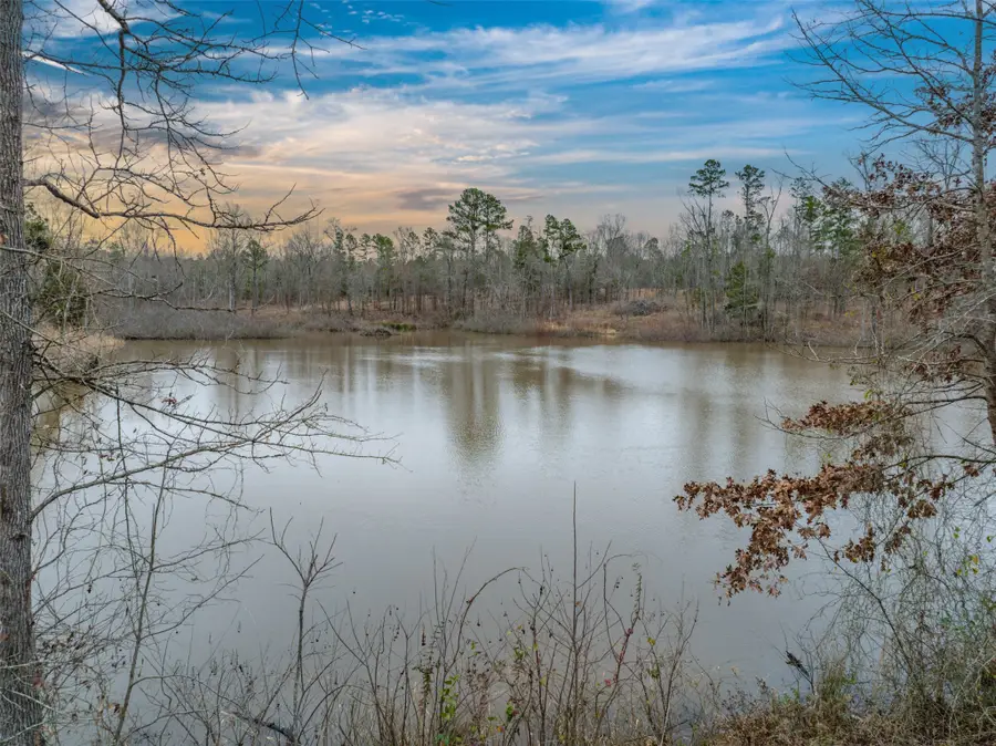 0 County Road 4913, Troup, TX 75789 - Image #2