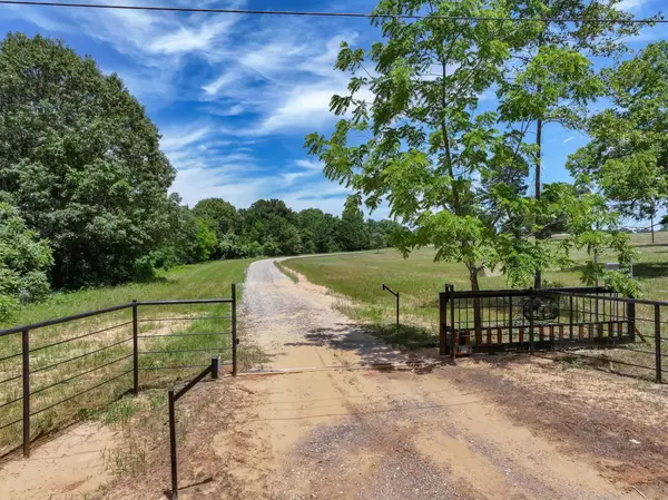 TBD Pvt. Rd 8079 Road, Ben Wheeler, TX 75754