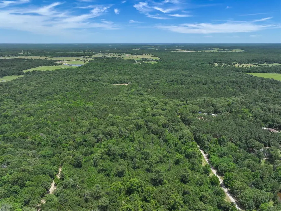 TBD Pvt. Rd 8079 Road, Ben Wheeler, TX 75754 - Image #3