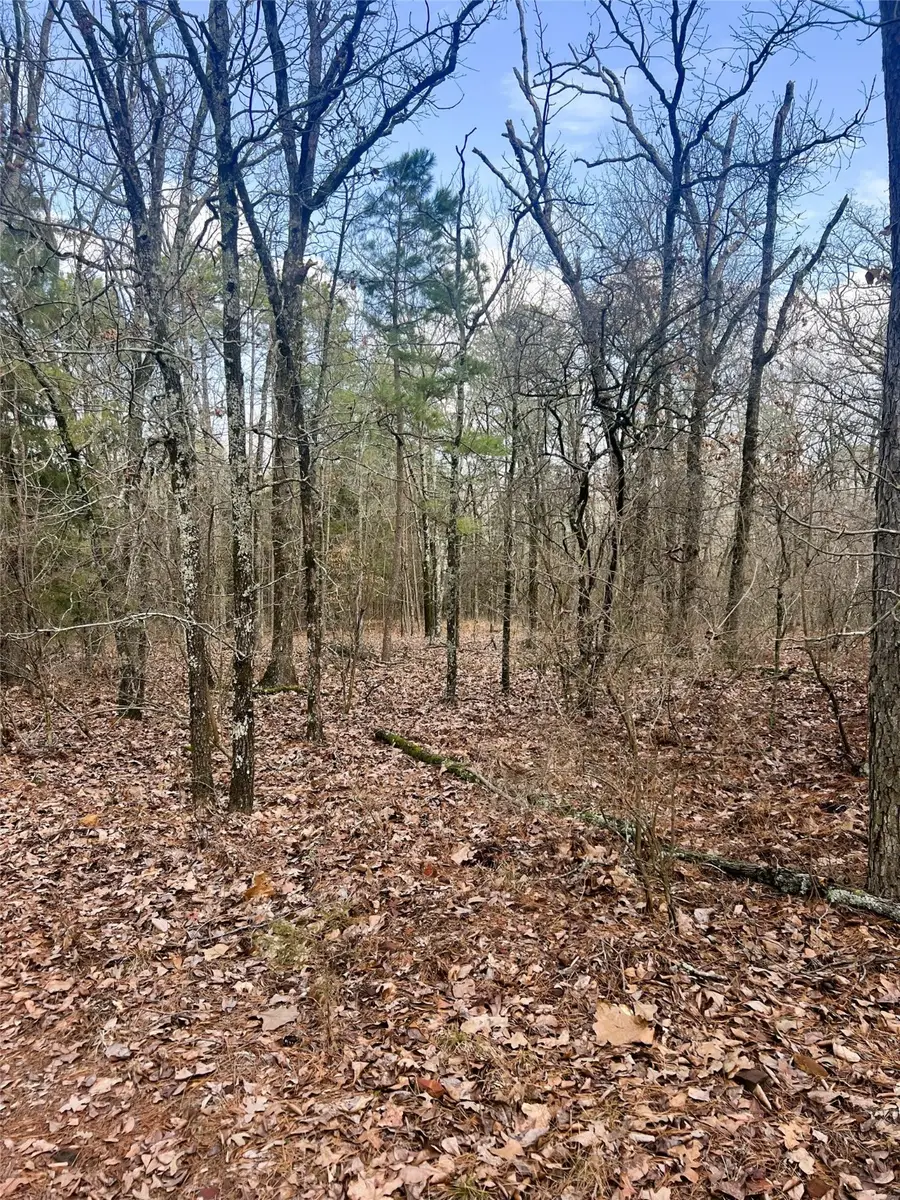 000 Private Road 8000, Winnsboro, TX 75494 - Image #3