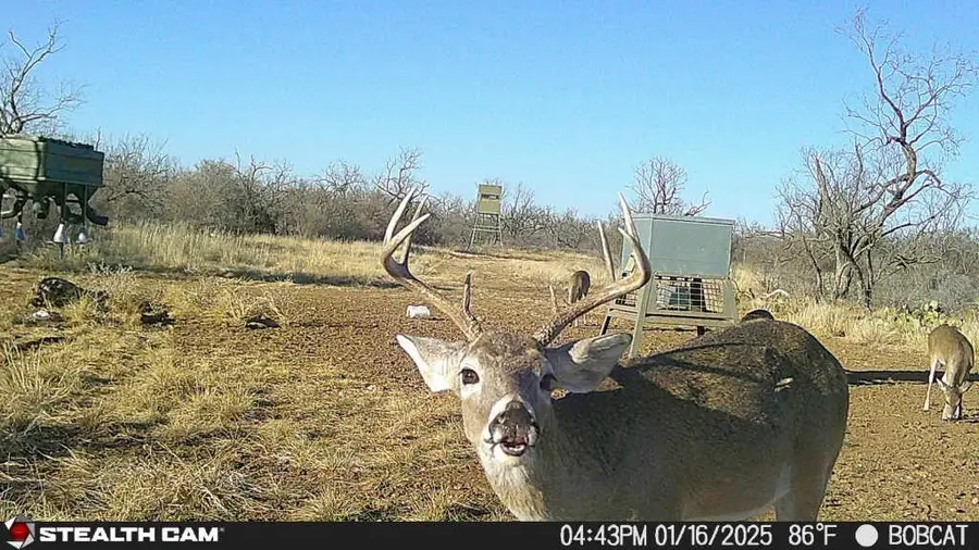 1434 Cr 313, Gouldbusk, TX 76845 - Image #2