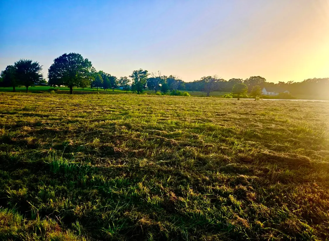 Lot 2 County Road 3541, Saltillo, TX 75478 - Image #1