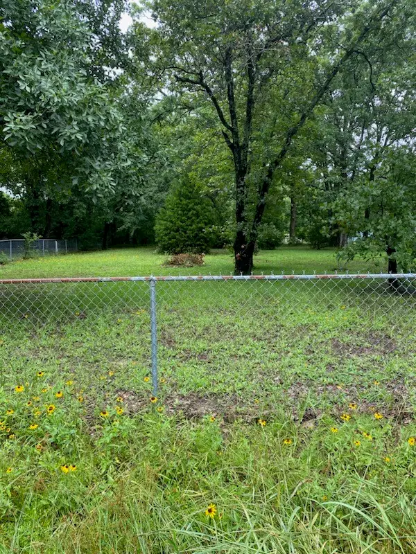 0 Lost Forest Road, Gun Barrel City, TX 75156 - Image #1