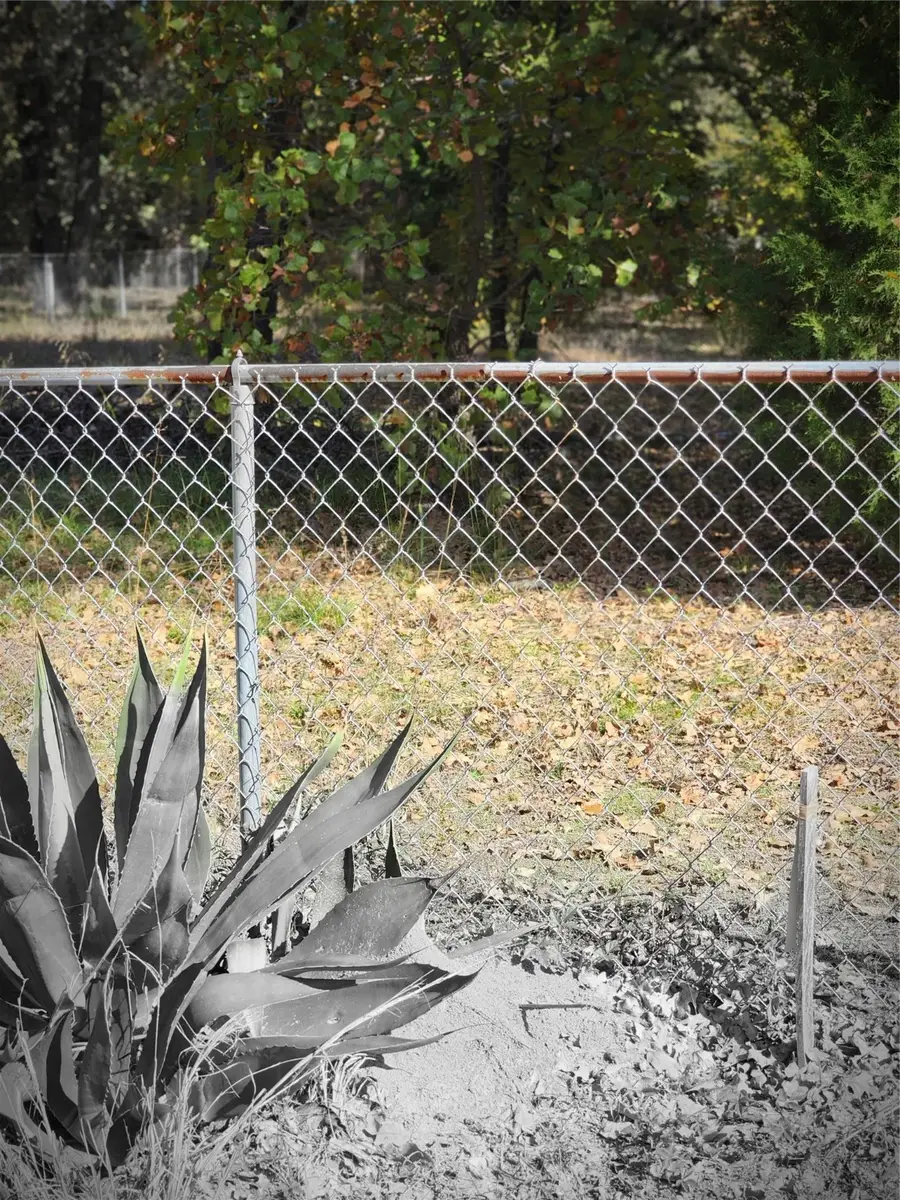 0 Lost Forest Road, Gun Barrel City, TX 75156 - Image #2