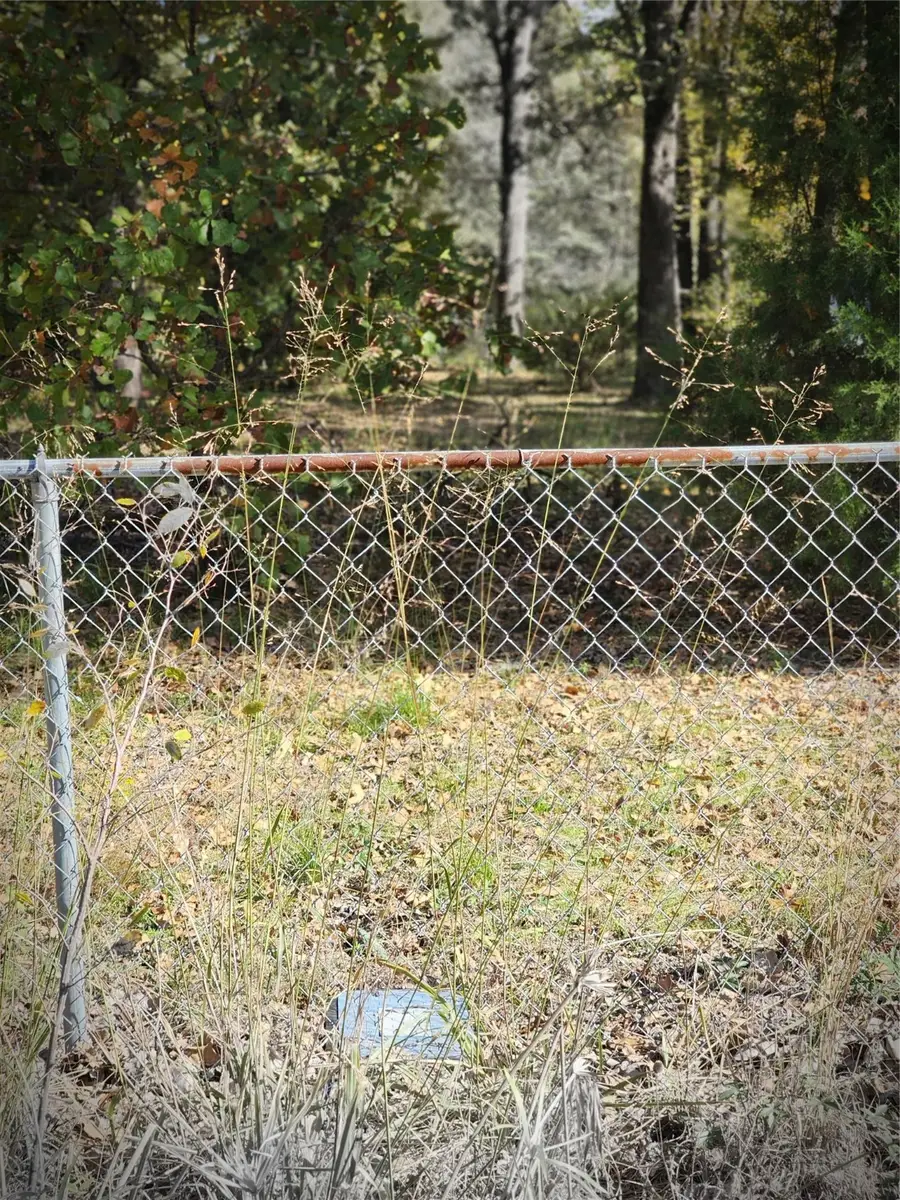 0 Lost Forest Road, Gun Barrel City, TX 75156 - Image #3