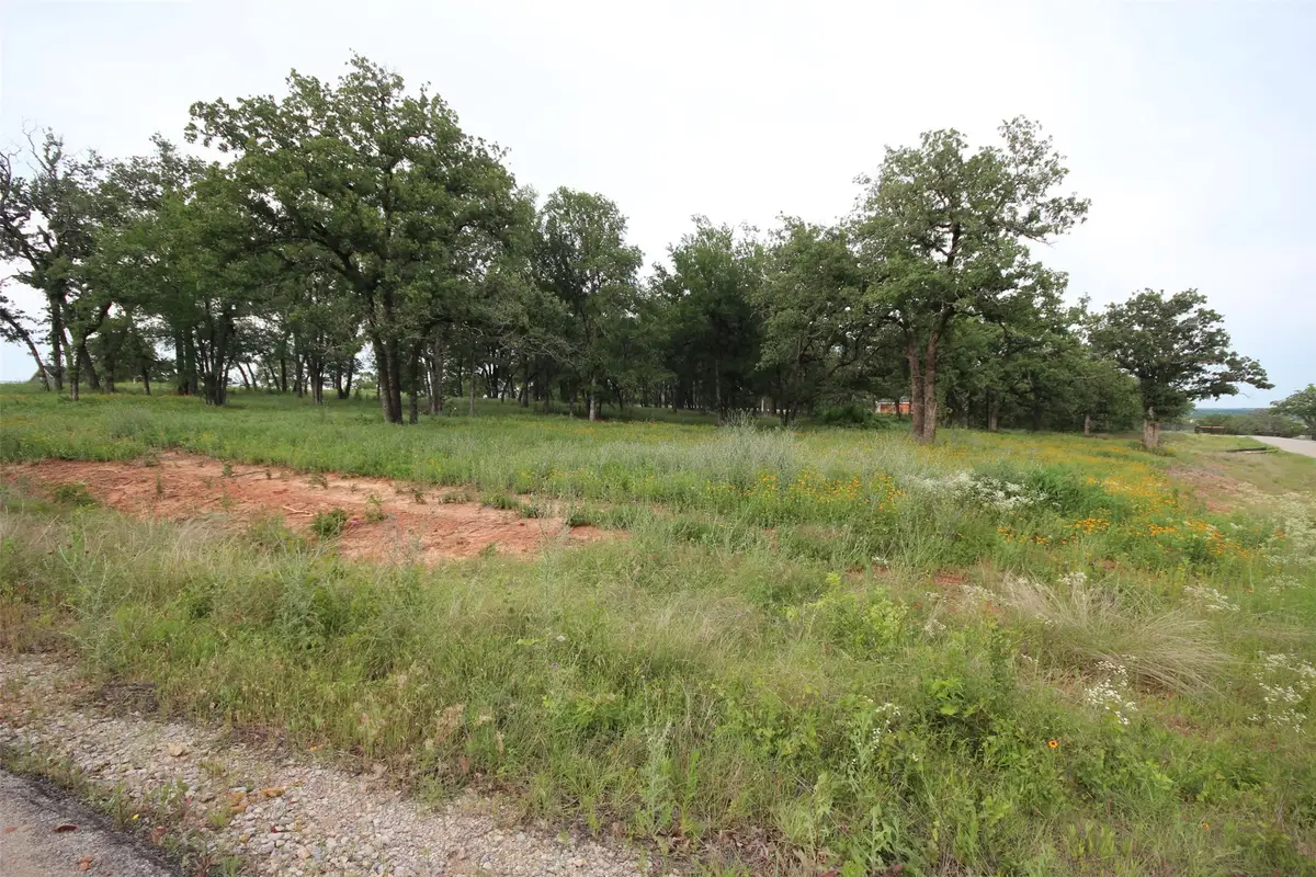 169 Hansma Way, Weatherford, TX 76087 - Image #1