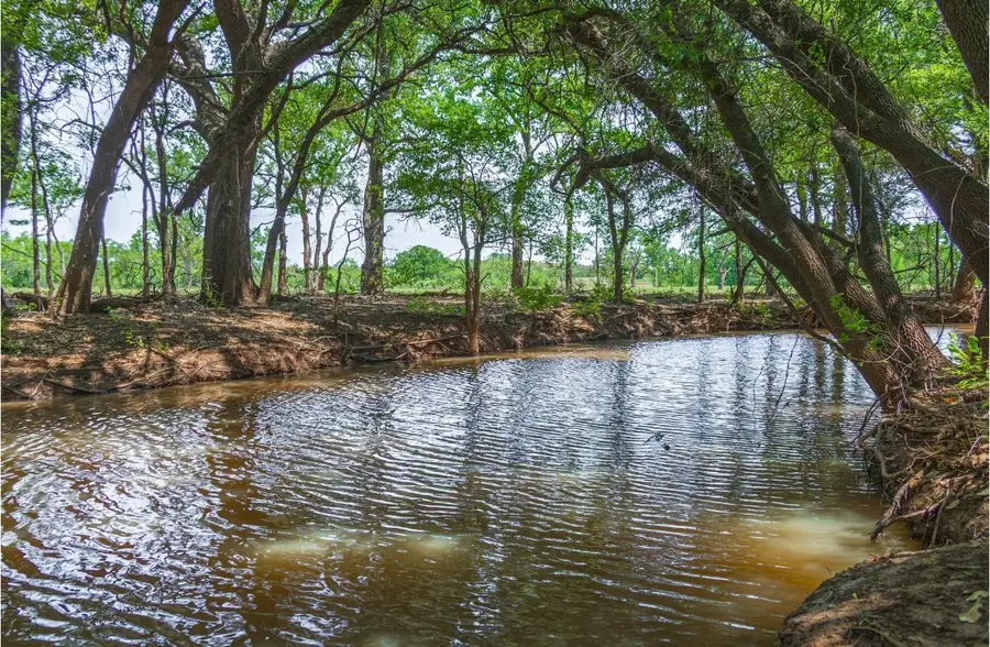 24000 State Highway 279, Cross Plains, TX 76443 - Image #2