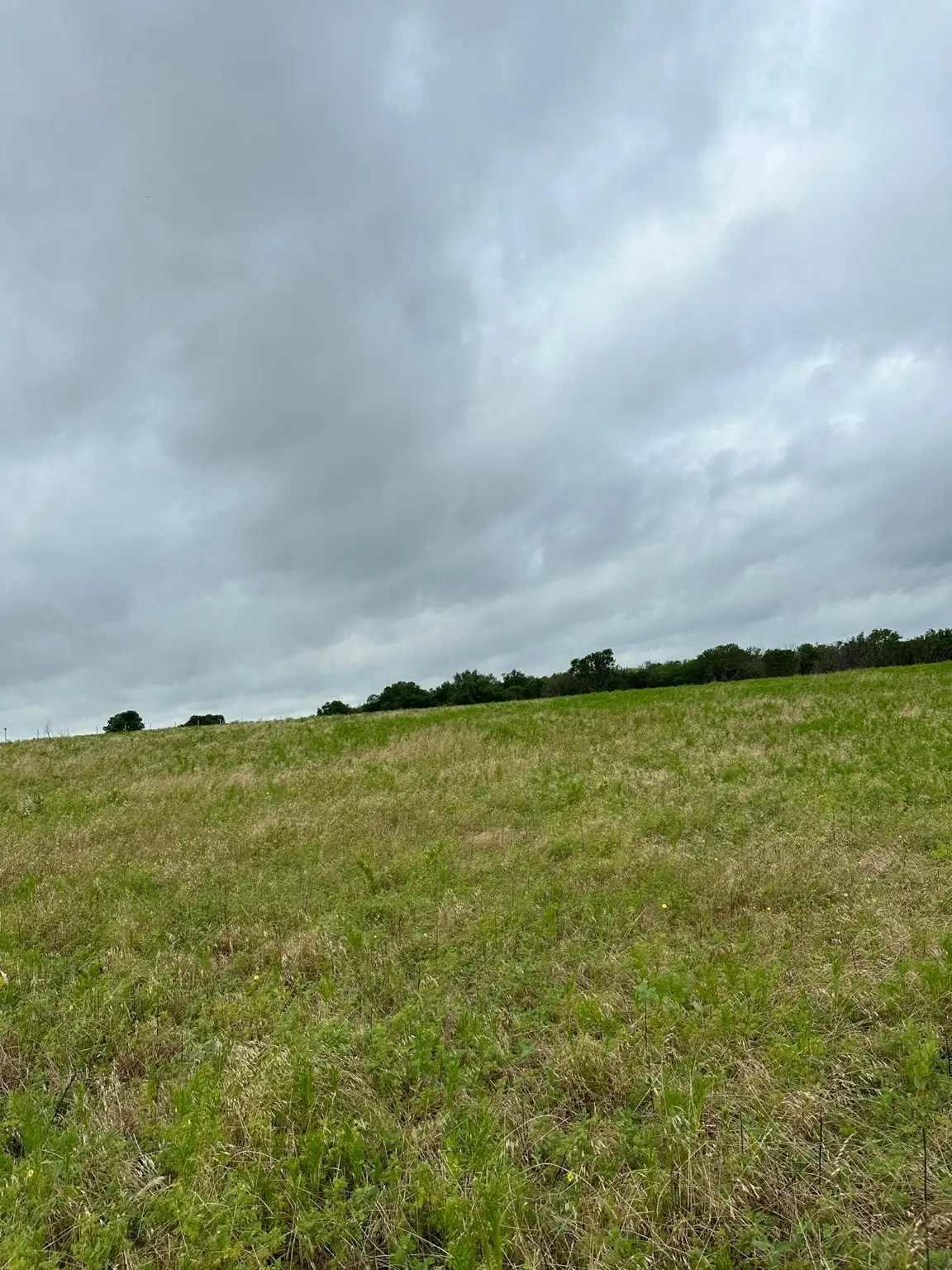 Lot 15 Old Sandborn Ranch Road, Southwest Grayson, TX 76268 - Image #1
