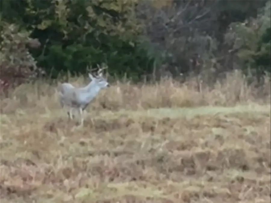 37100 County Road, Paris, TX 75462 - Image #3