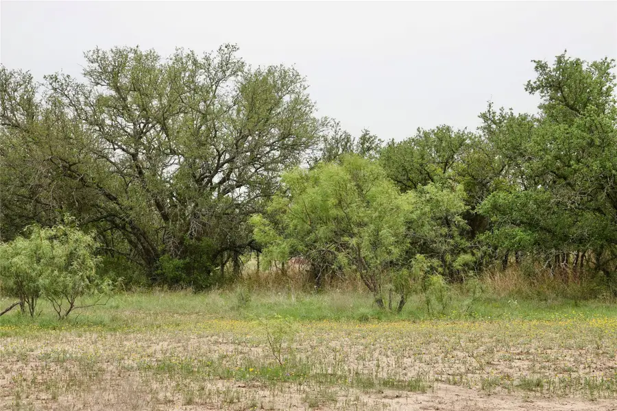 180 Cr 531, Mullin, TX 76864 - Image #2
