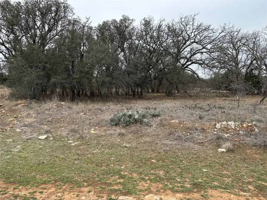 167 Falcon Drive, Brownwood, TX 76801 - Image #3