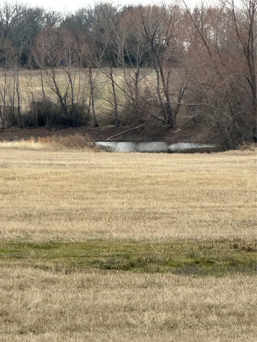 4365 S Fm 730, Decatur, TX 76234 - Image #2