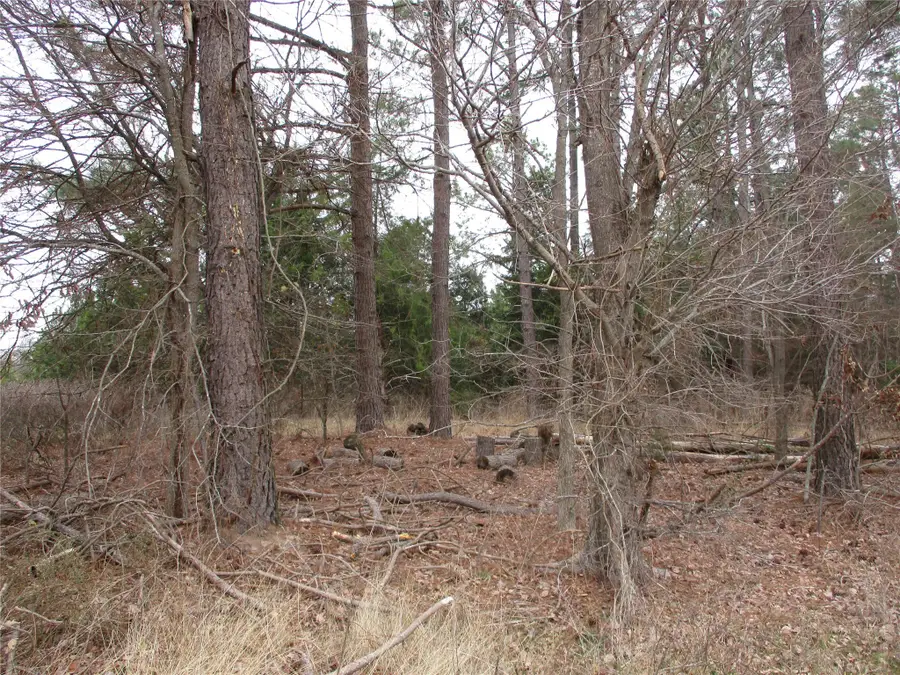 TBD Rains County Road 3040, Emory, TX 75440 - Image #3