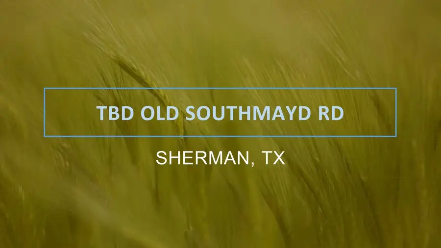 TBD Old Southmayd Road #Tract 1C, Sherman, TX 75092 - Image #3
