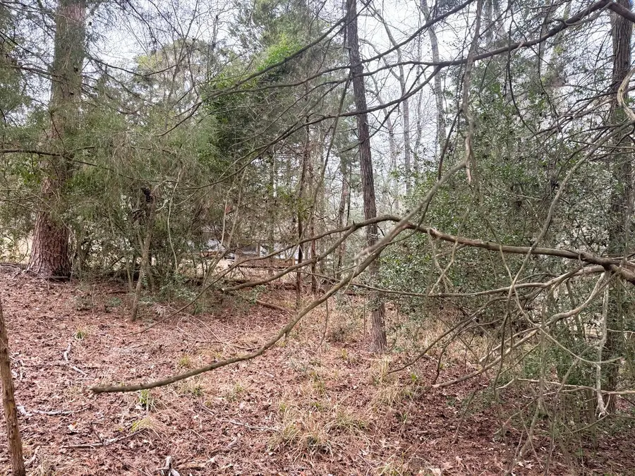 Lots 316 & 317 Brazos Bend, Holly Lake Ranch, TX 75765 - Image #3