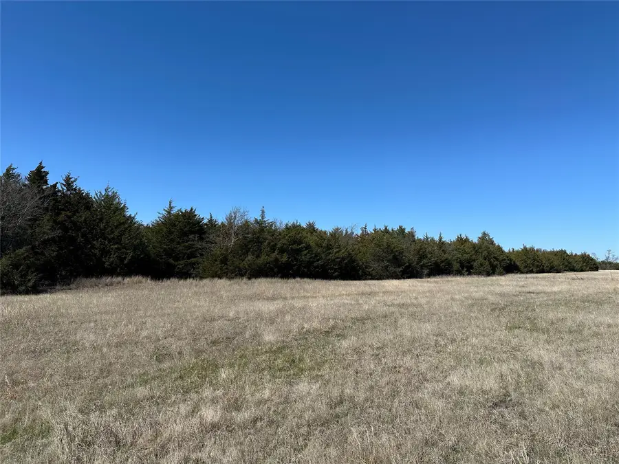 7967 County Road 513 #Lot 2, Anna, TX 75049 - Image #3