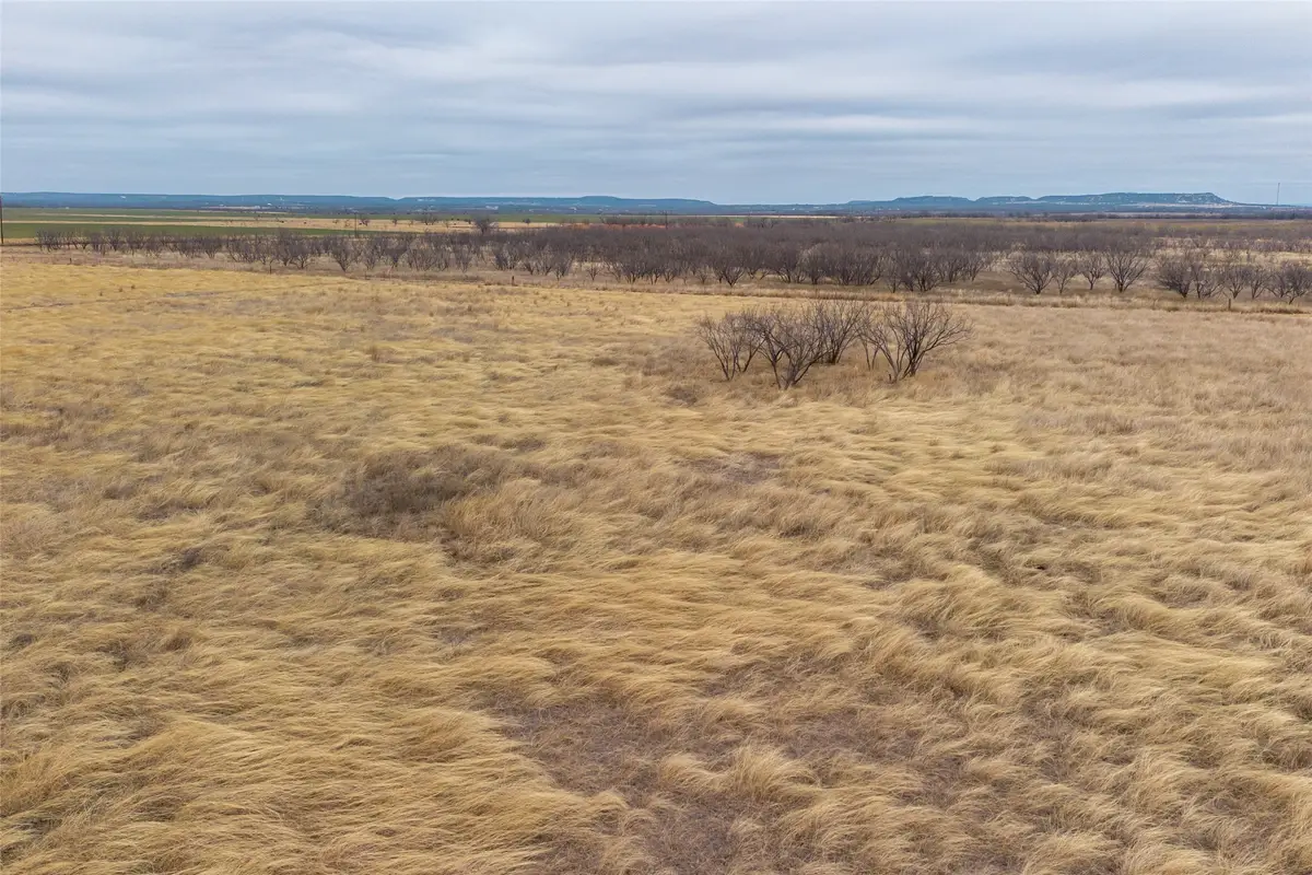 T4 County Road 204, Bradshaw, TX 79567 - Image #1