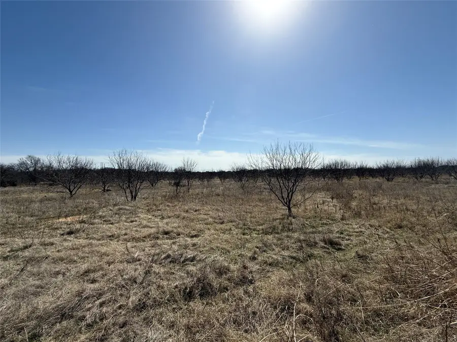 1701 Stewart Street, Brownwood, TX 76801 - Image #3