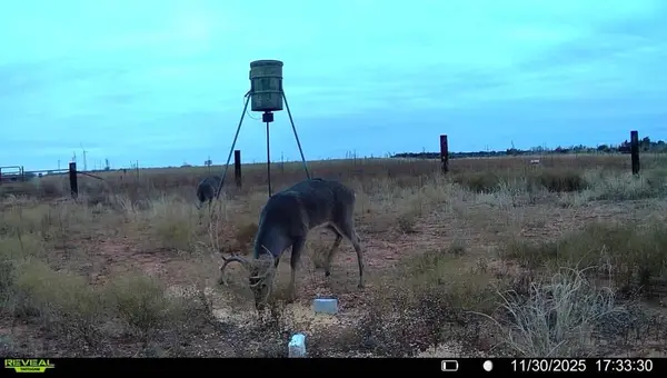 TBD Fm 1919, Seymour, TX 76380