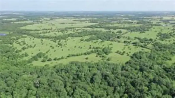 TBD 22.494 County Road 703, Farmersville, TX 75442