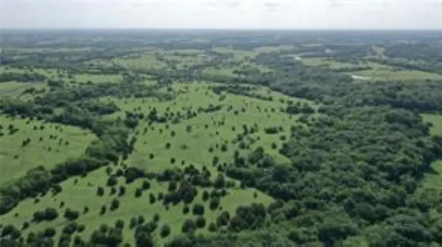 TBD 22.494 County Road 703, Farmersville, TX 75442 - Image #3