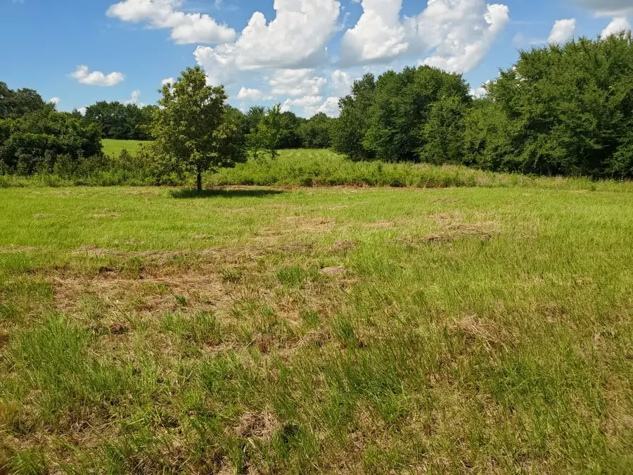 Lot 3 Rains Cr1140 Road, Emory, TX 75440 - Image #2