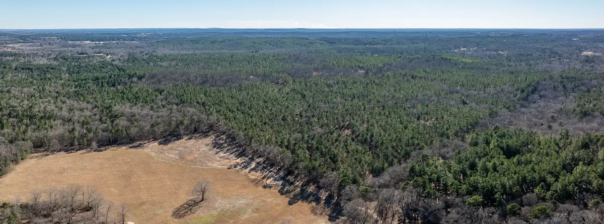 TBD State Highway 64, Ben Wheeler, TX 75754 - #1