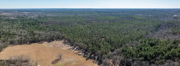 TBD State Highway 64, Ben Wheeler, TX 75754