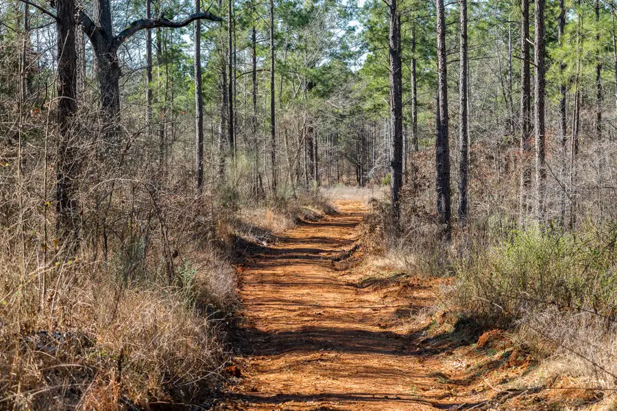 TBD State Highway 64, Ben Wheeler, TX 75754 - #3