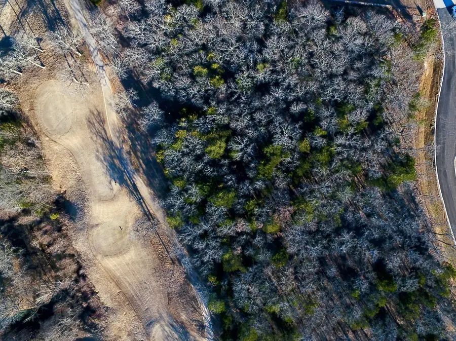 17A Castle Pines Circle, Gordonville, TX 76245 - Image #2