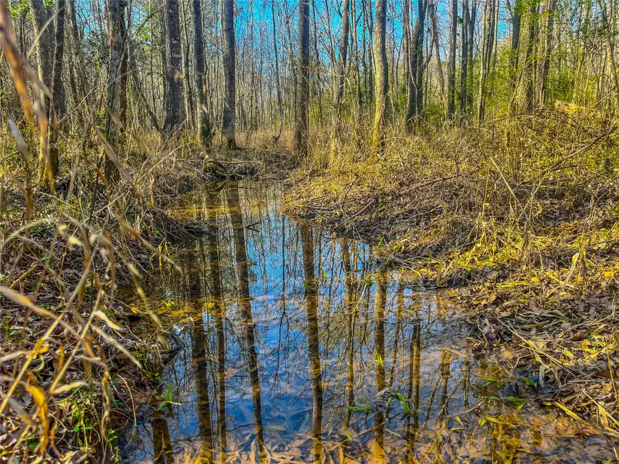 0 E Private Road 8344, Palestine, TX 75803 - Image #2