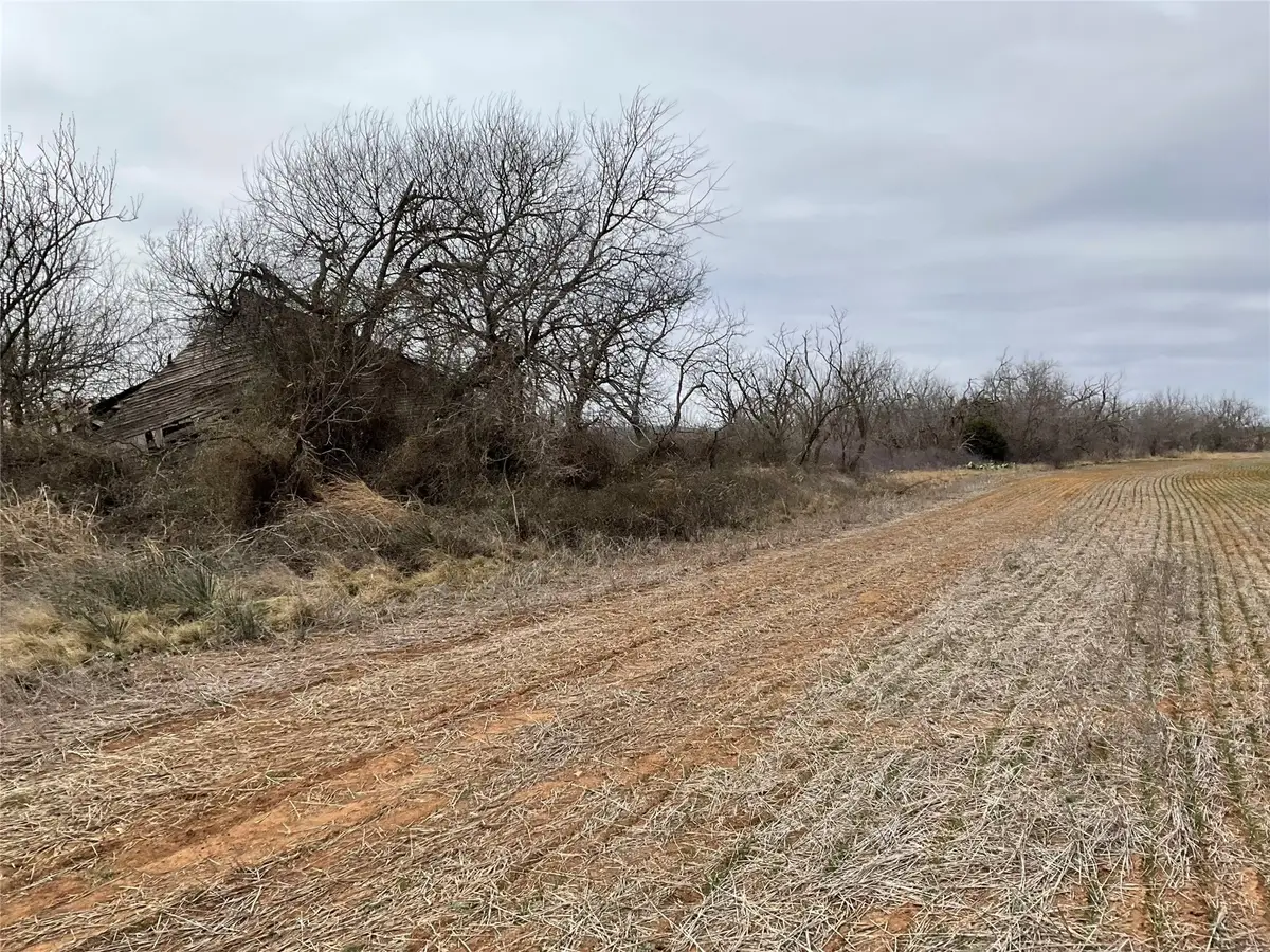 TBA Fm 2405, Ovalo, TX 79541 - Image #1