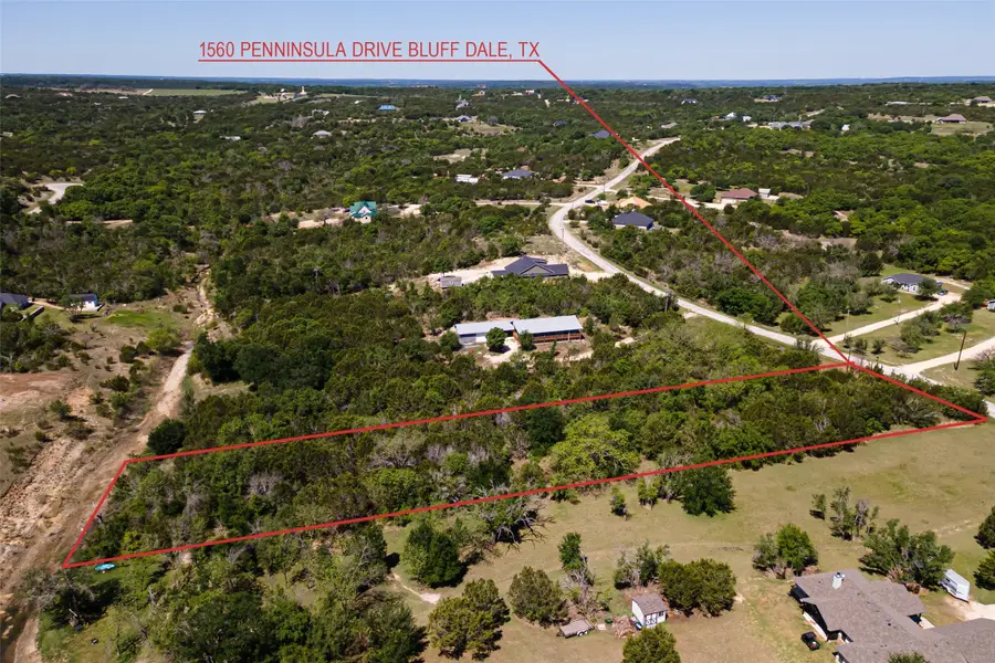 1560 Peninsula Drive, Bluff Dale, TX 76433 - Image #3