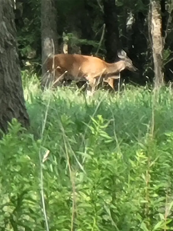 1478 Creek Crossing Trail, Wills Point, TX 75169