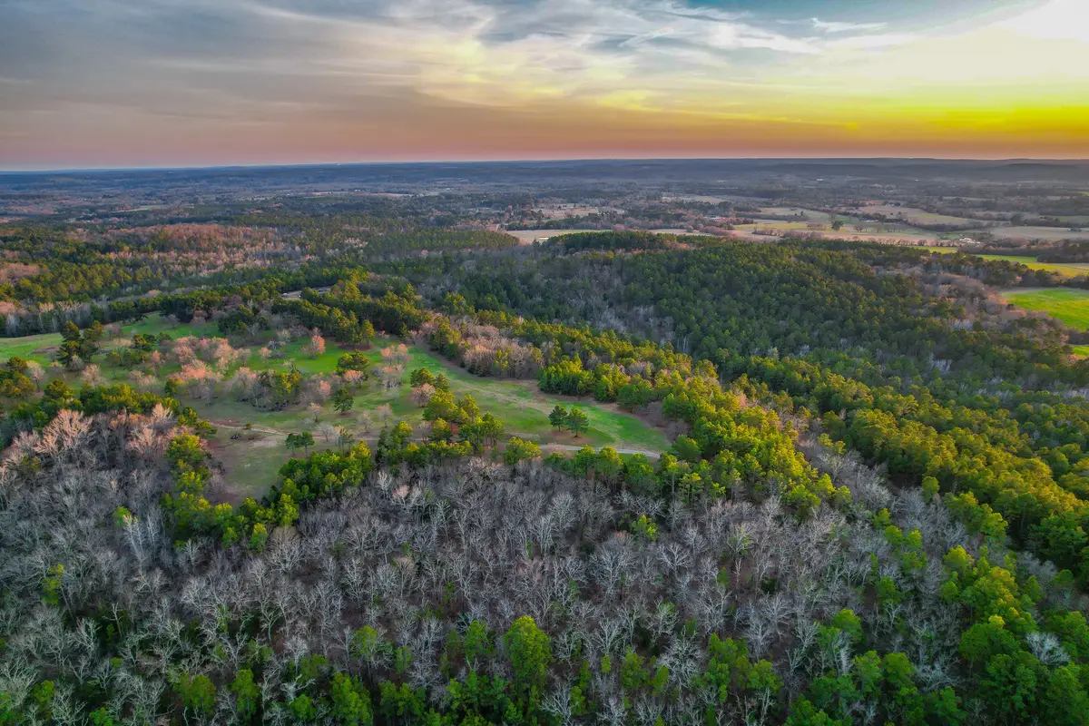 TBD Cr 4225, Frankston, TX 75763 - Image #1