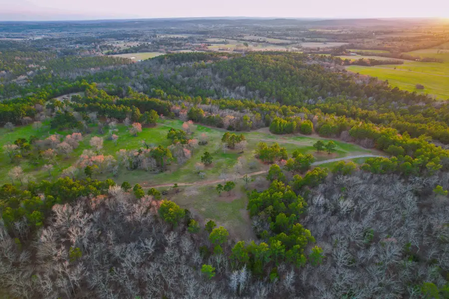 TBD Cr 4225, Frankston, TX 75763 - Image #2