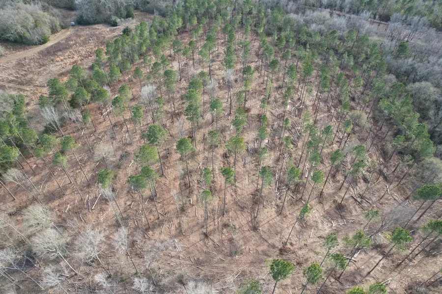 Tract B County Road 4037, Timpson, TX 75975 - #3