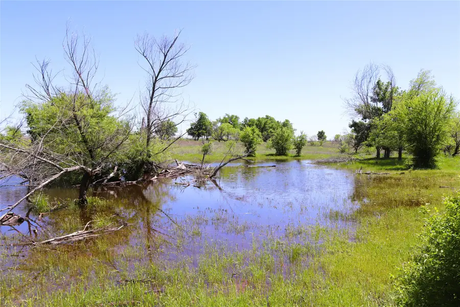 40 Acres Sears Mayfield Rd, Henrietta, TX 76365 - Image #3