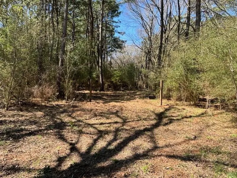 TBD Cr 2120, Pittsburg, TX 75686 - Image #3